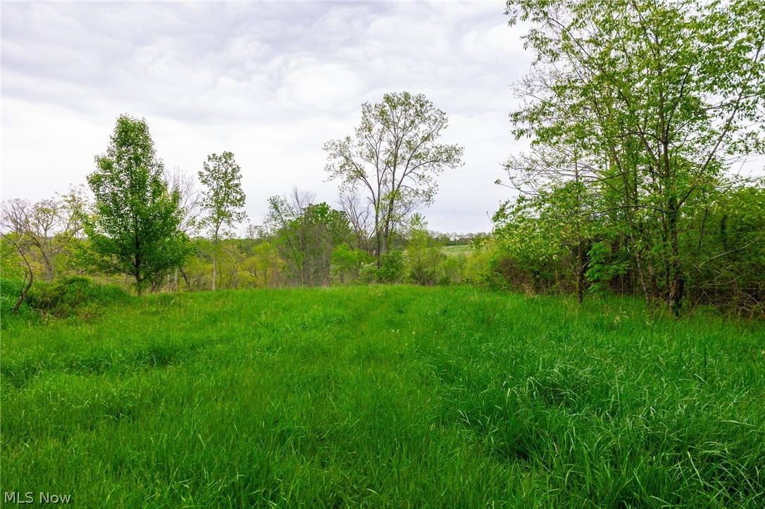 60936 Patch Road New Concord, OH 43762 - Photo 6 of 50
