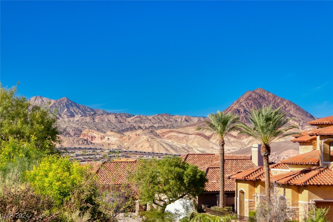 14 Pyrenees Court Henderson, NV 89011 - Photo 15 of 19