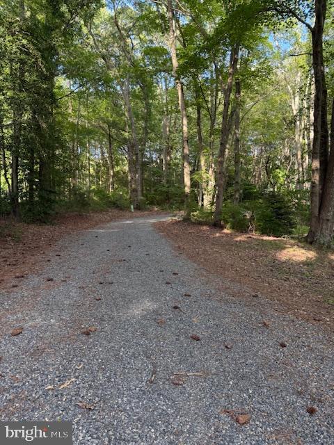 306 Liberty Road Reedville, VA 22539 - Photo 21 of 43 Driveway