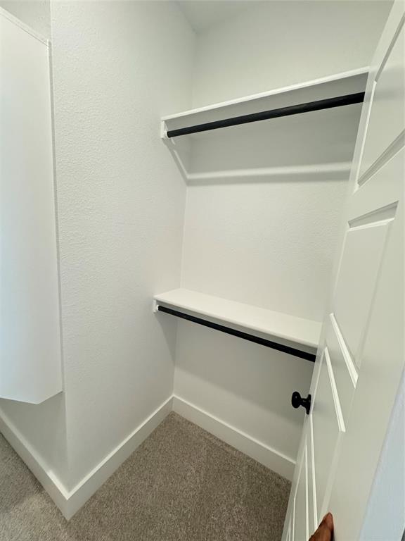 1313 Eureka Spgs Street Prosper, TX 75078 - Photo 12 of 40 Spacious closet with carpet flooring