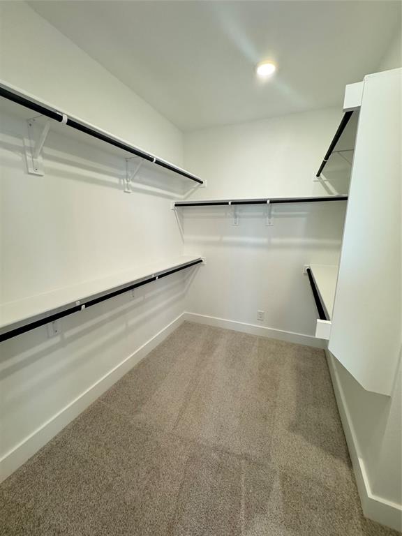 1313 Eureka Spgs Street Prosper, TX 75078 - Photo 24 of 40 Spacious closet featuring light carpet