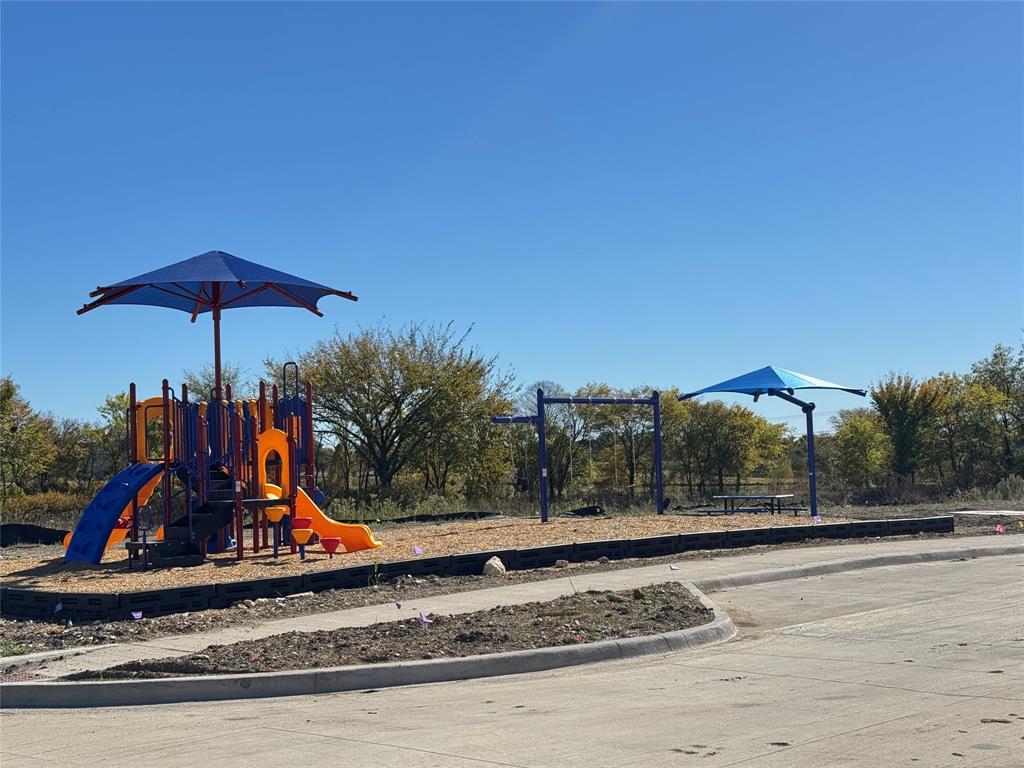 1313 Eureka Spgs Street Prosper, TX 75078 - Photo 28 of 40 View of community jungle gym