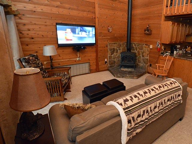 10 Powder Monkey Lane Snowshoe, WV 26209 - Photo 9 of 14 Gallery Image 9