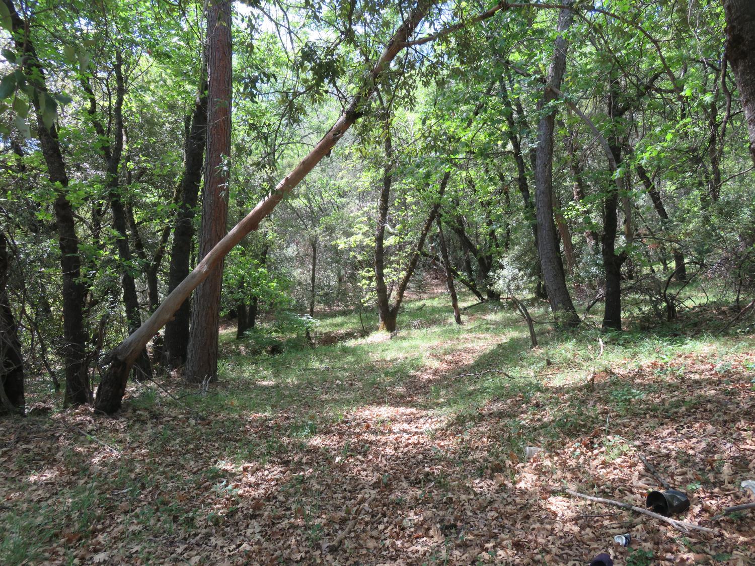 0 Higdon Spink Road West Point, CA 95255 - Photo 11 of 32