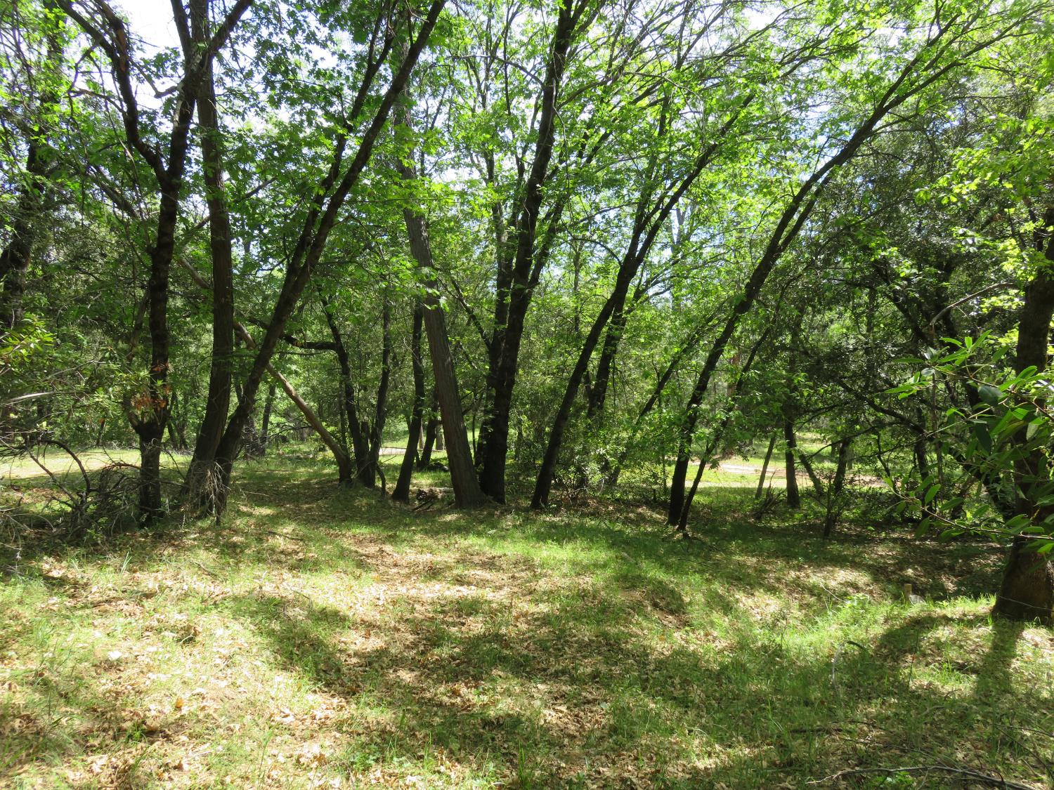 0 Higdon Spink Road West Point, CA 95255 - Photo 12 of 32