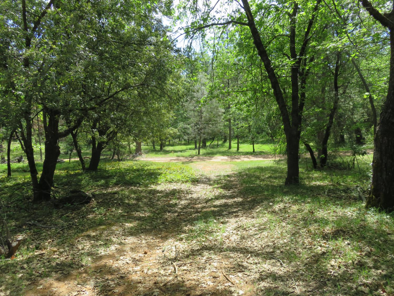 0 Higdon Spink Road West Point, CA 95255 - Photo 13 of 32