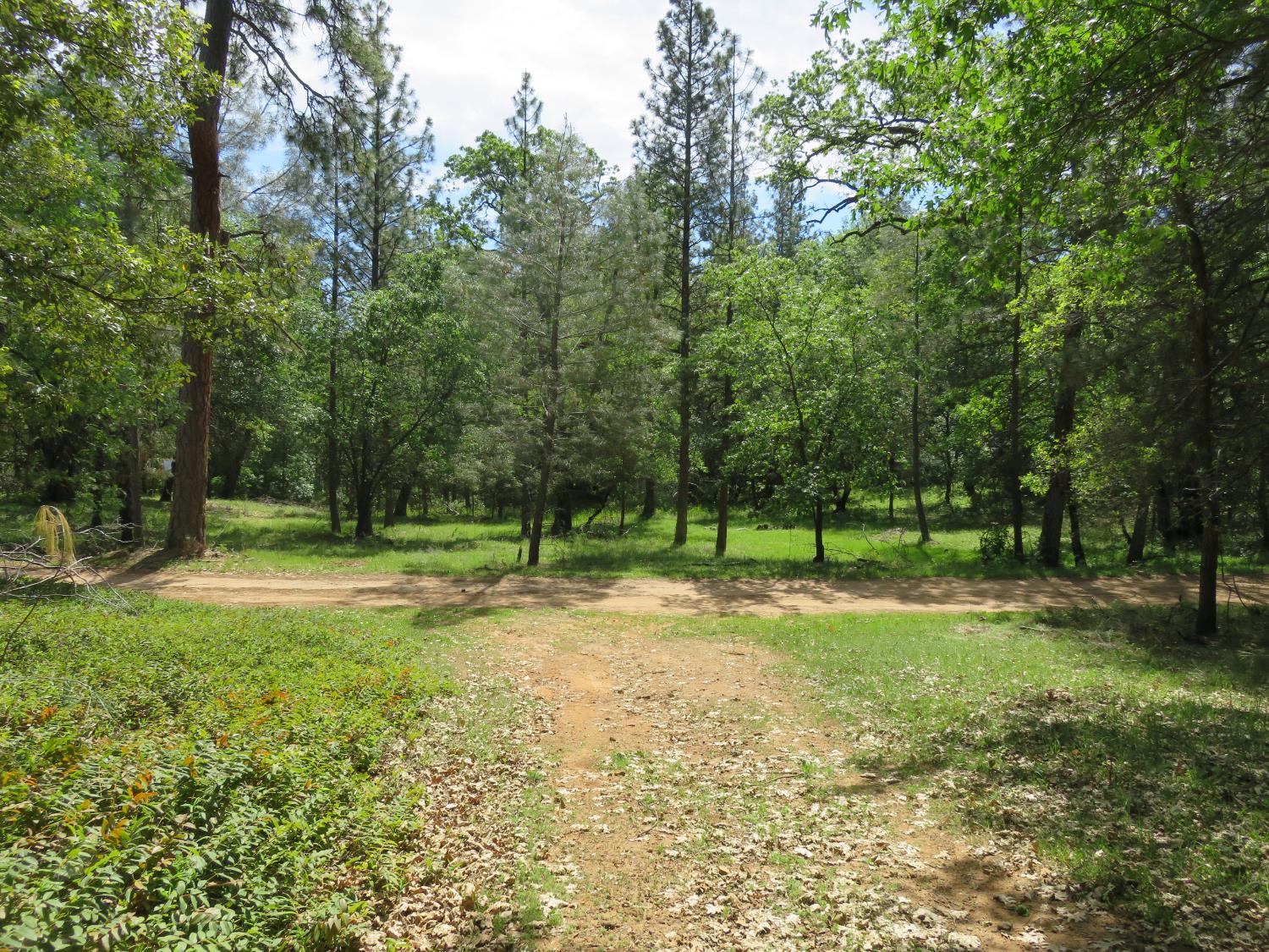 0 Higdon Spink Road West Point, CA 95255 - Photo 14 of 32