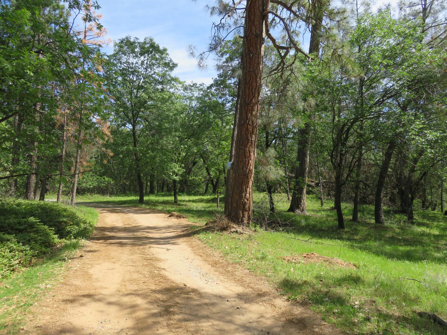 0 Higdon Spink Road West Point, CA 95255 - Photo 16 of 32