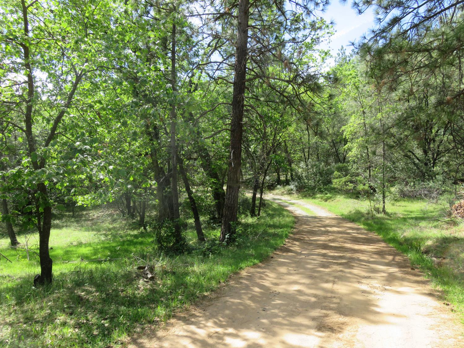 0 Higdon Spink Road West Point, CA 95255 - Photo 17 of 32