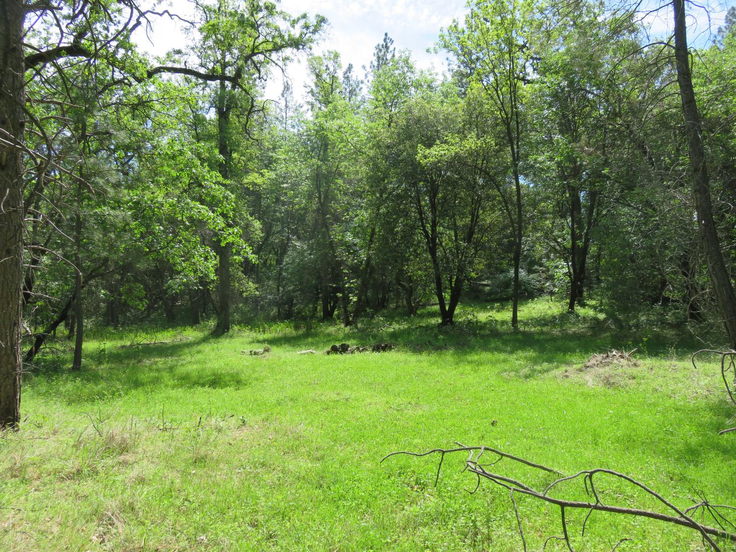 0 Higdon Spink Road West Point, CA 95255 - Photo 18 of 32