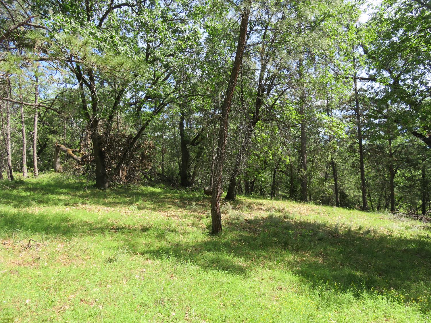 0 Higdon Spink Road West Point, CA 95255 - Photo 21 of 32