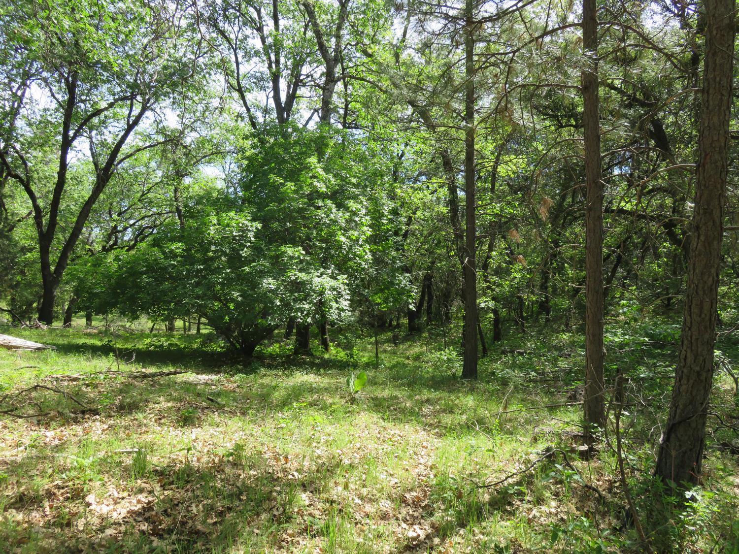 0 Higdon Spink Road West Point, CA 95255 - Photo 24 of 32