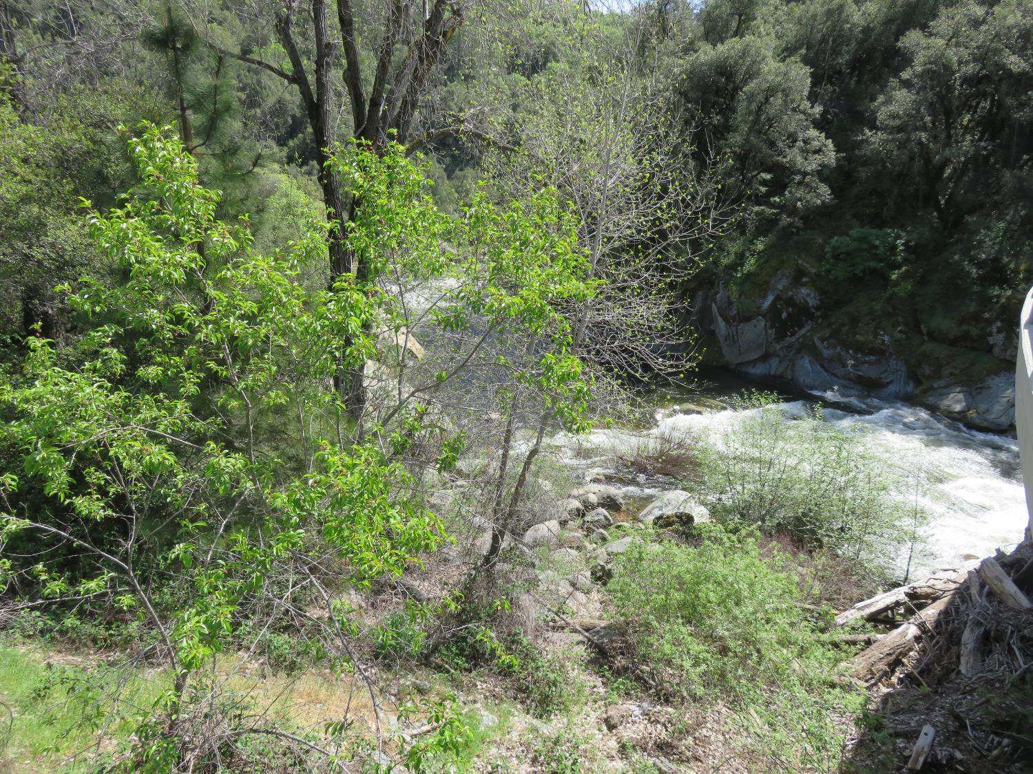 0 Higdon Spink Road West Point, CA 95255 - Photo 30 of 32 North fork Mokelume river just 1.3 miles from the property.