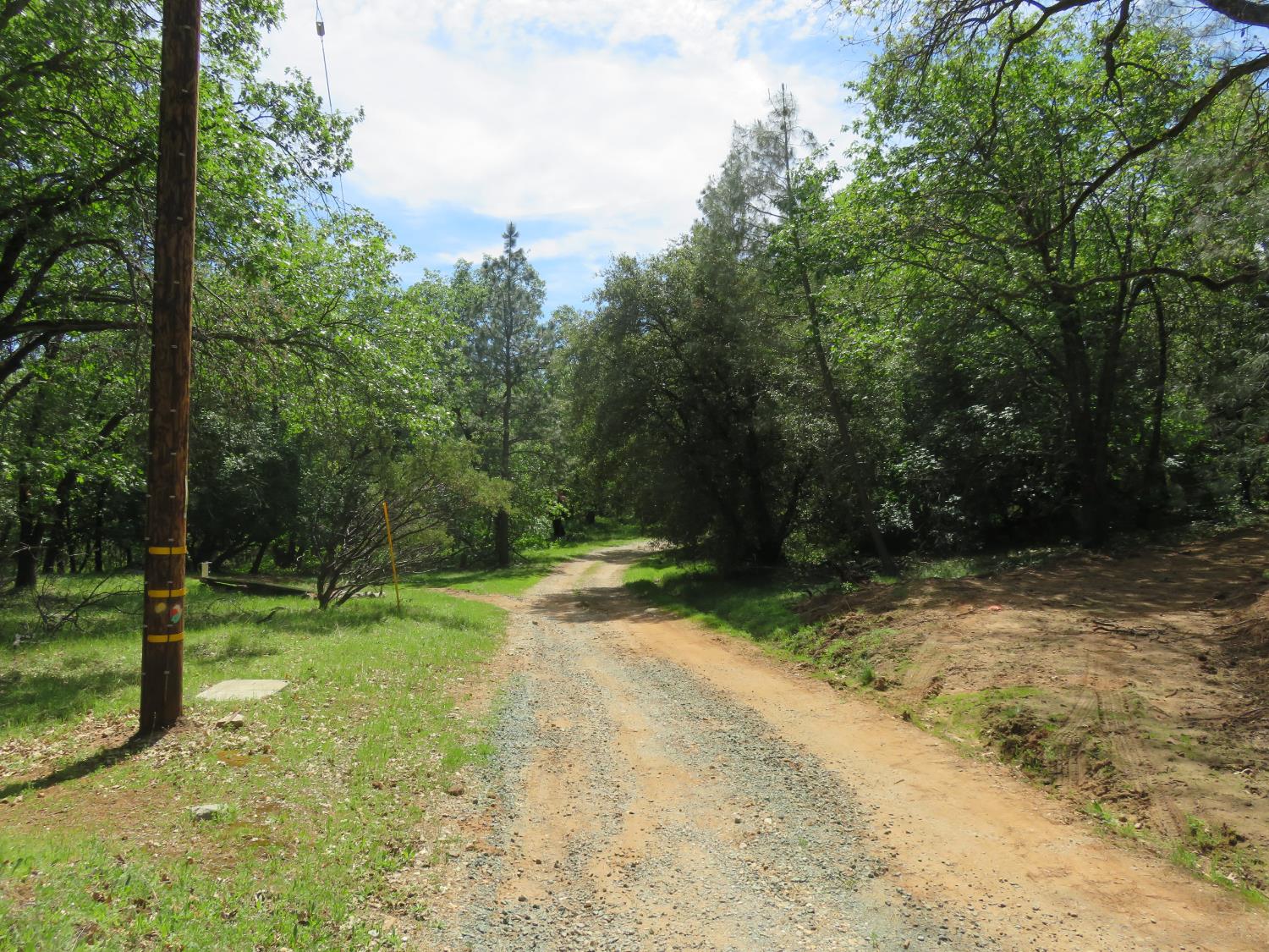 0 Higdon Spink Road West Point, CA 95255 - Photo 4 of 32