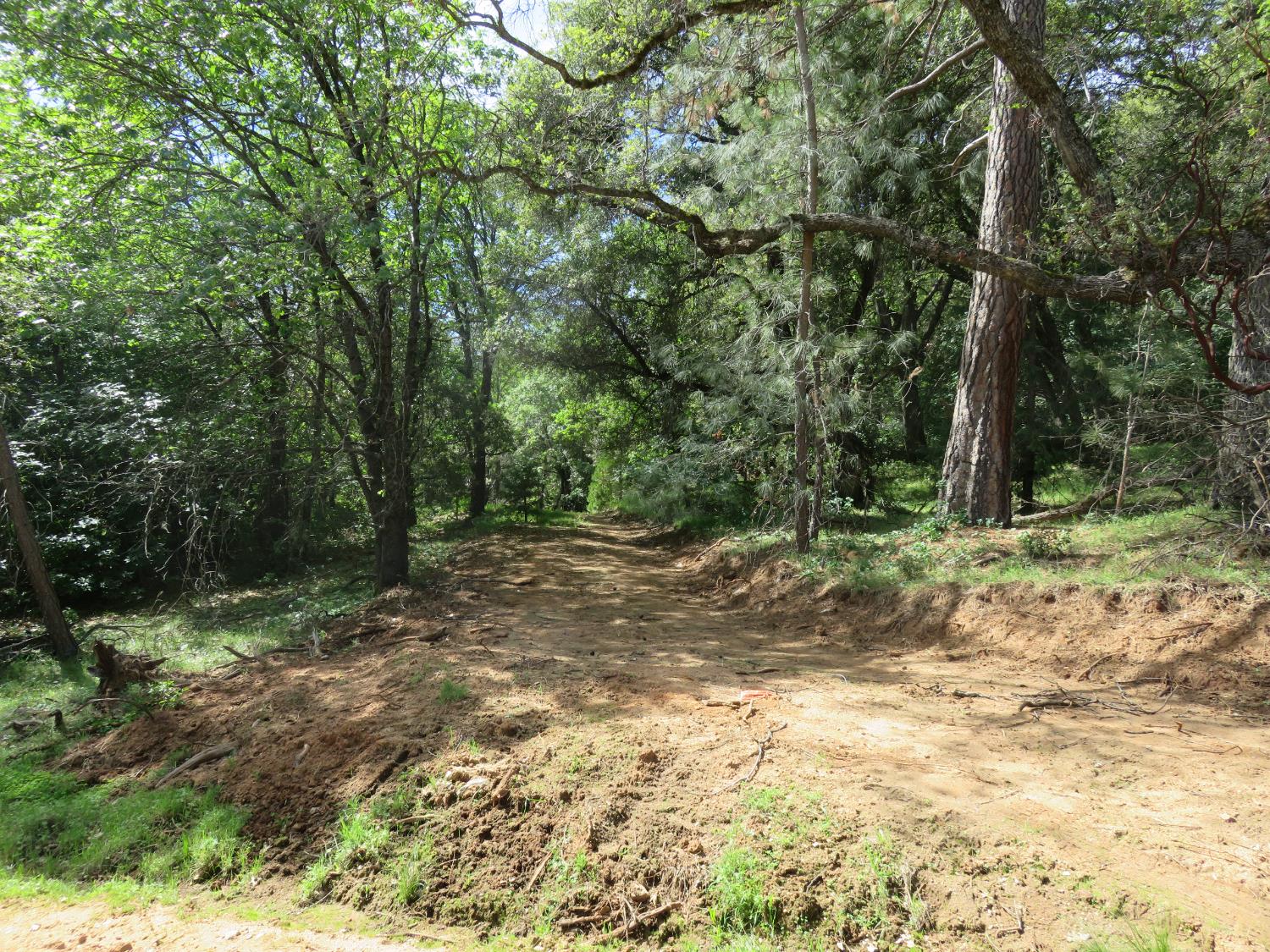 0 Higdon Spink Road West Point, CA 95255 - Photo 5 of 32