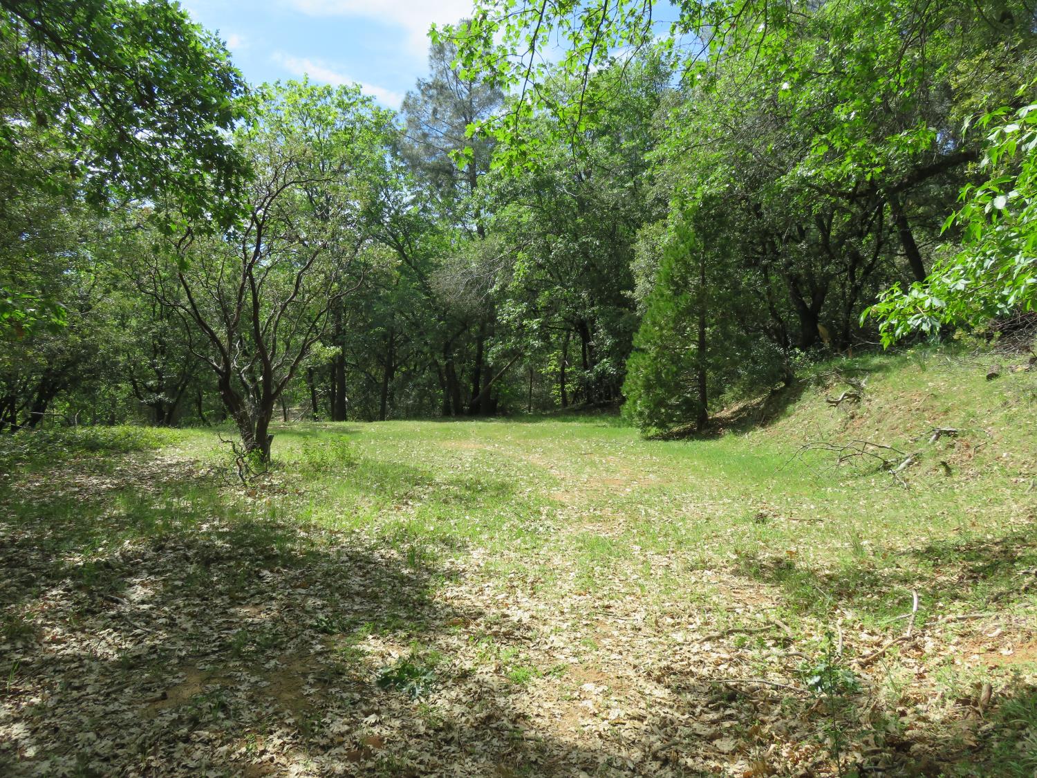 0 Higdon Spink Road West Point, CA 95255 - Photo 10 of 32