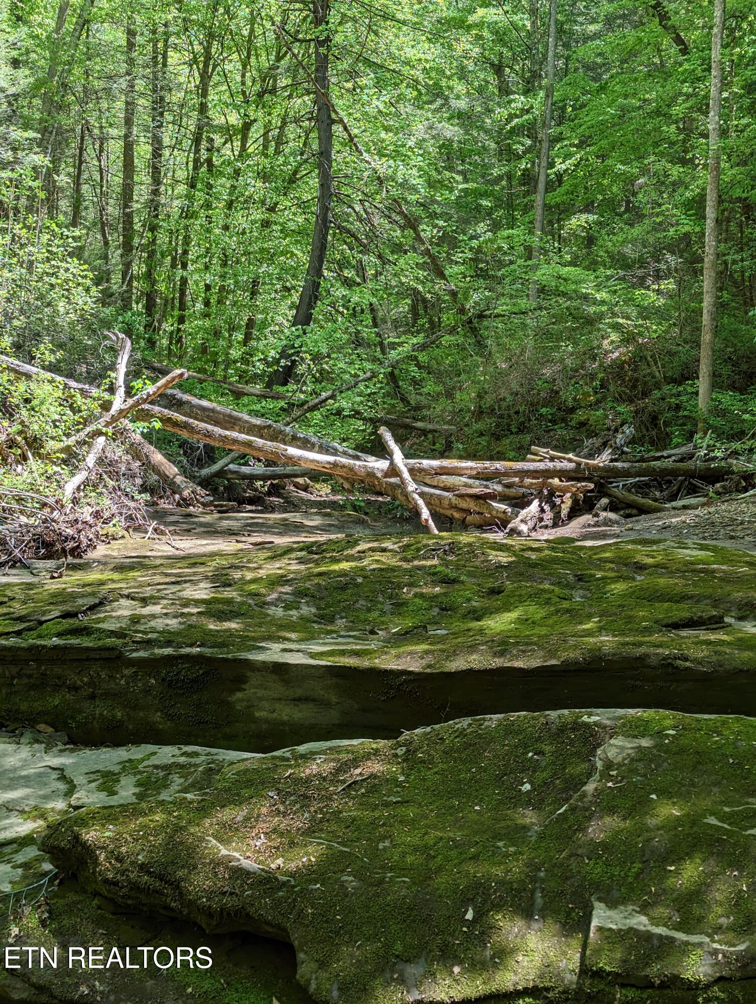 Cherokee Path Jamestown, TN 38556 - Photo 5 of 14 5