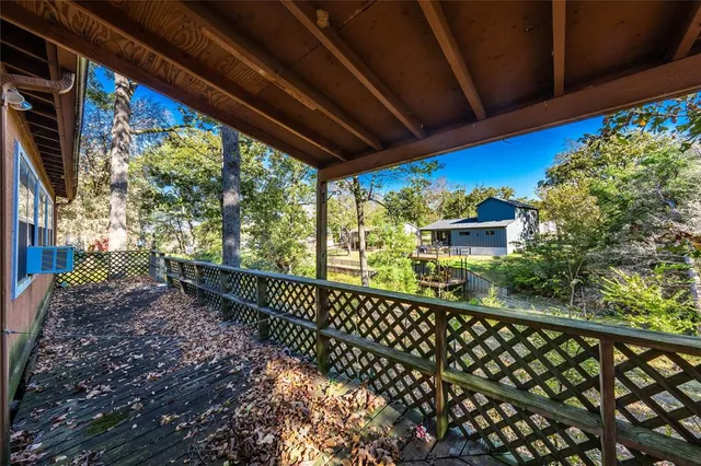 a view of a forest with a tree