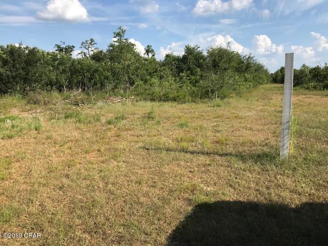 0 Rogers Road Greenwood, FL 32443 - Photo 3 of 5 Gallery Image 3