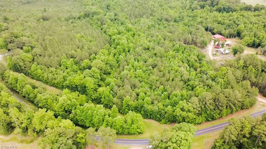 Tbd Tract A Tbd Tract A Bellview Road Robbins, NC 27325 - Photo 3 of 8