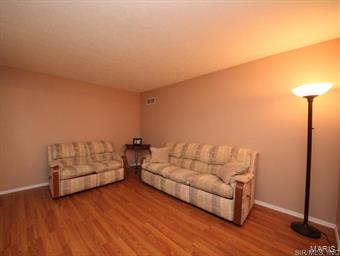 3209 Mill Springs Road Belleville, IL 62221 - Photo 3 of 24 Gallery Image 3