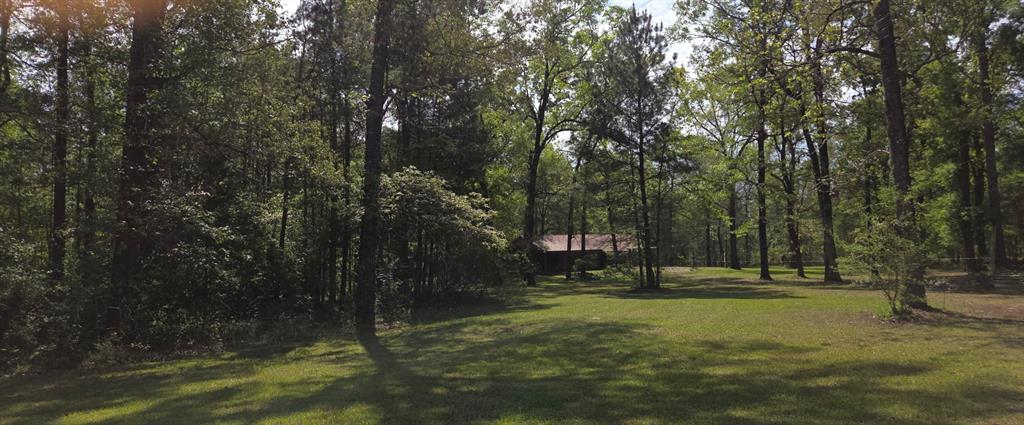 3072 Dorough Road Karnack, TX 75661 - Photo 3 of 26