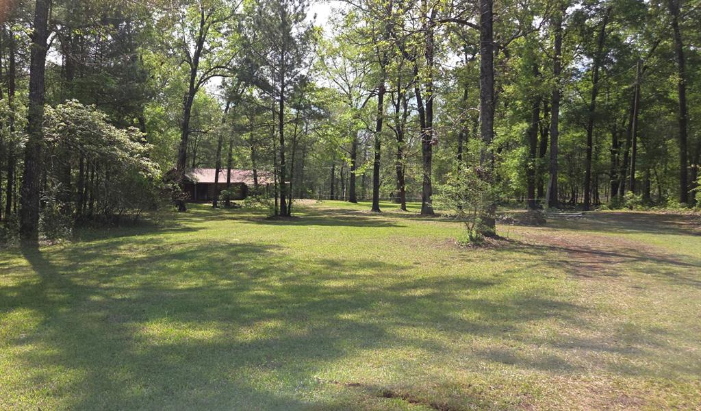 3072 Dorough Road Karnack, TX 75661 - Photo 4 of 26