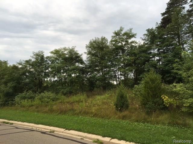 0 Gray Fox Court Howell, MI 48843 - Photo 1 of 3