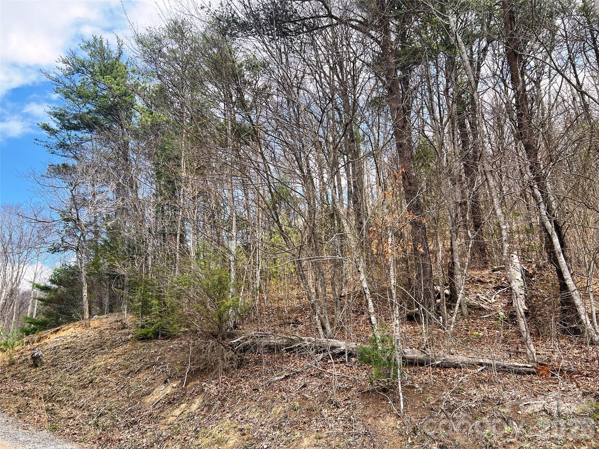 Tbd Moonbeam Lane, Unit 101 102 Clyde, NC 28721 - Photo 17 of 20 a backyard of a house with lots of trees