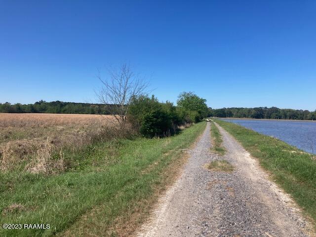 0 Rupert Lake Road Iota, LA 70543 - Photo 5 of 6 IMG_4943
