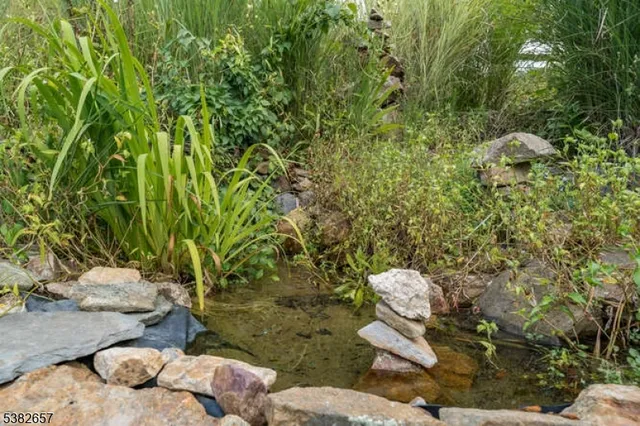 a view of an outdoor space and a yard