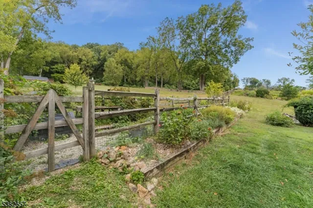 a view of a garden with lawn chairs