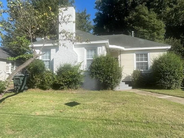 a view of a big yard with plants and large trees
