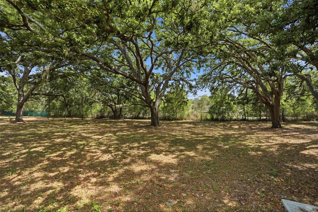 15620 Hays Road Spring Hill, FL 34610 - Photo 73 of 87