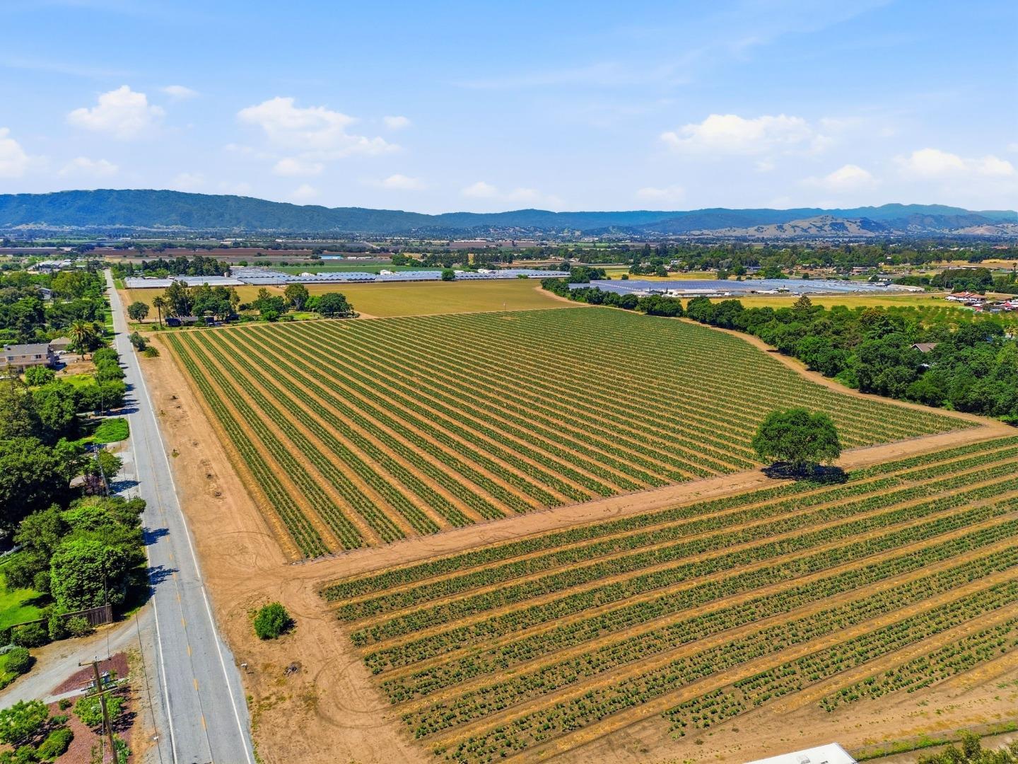 3115 Leavesley Road Gilroy, CA 95020 - Photo 12 of 18