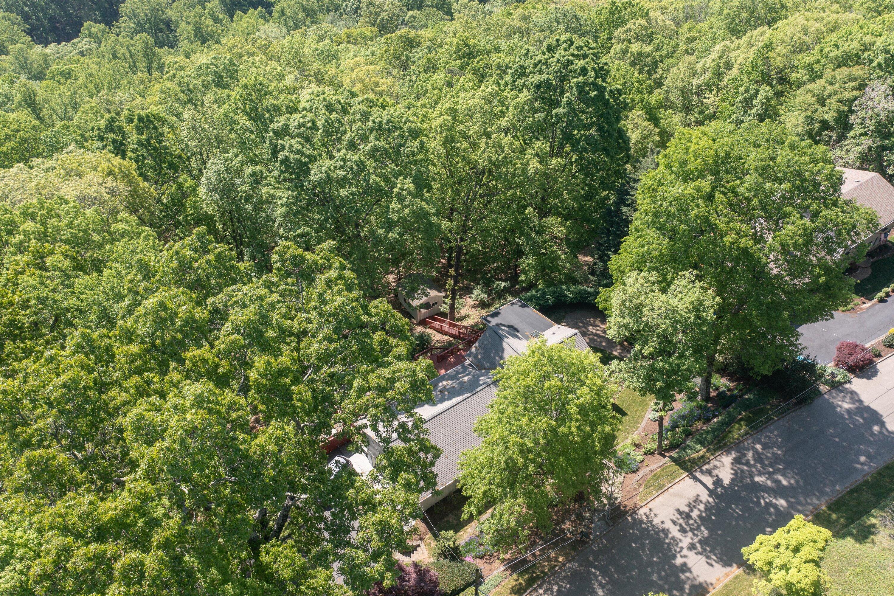 2921 Lockridge Road Southwest Roanoke, VA 24014 - Photo 46 of 53 a view of a garden with plants and large trees