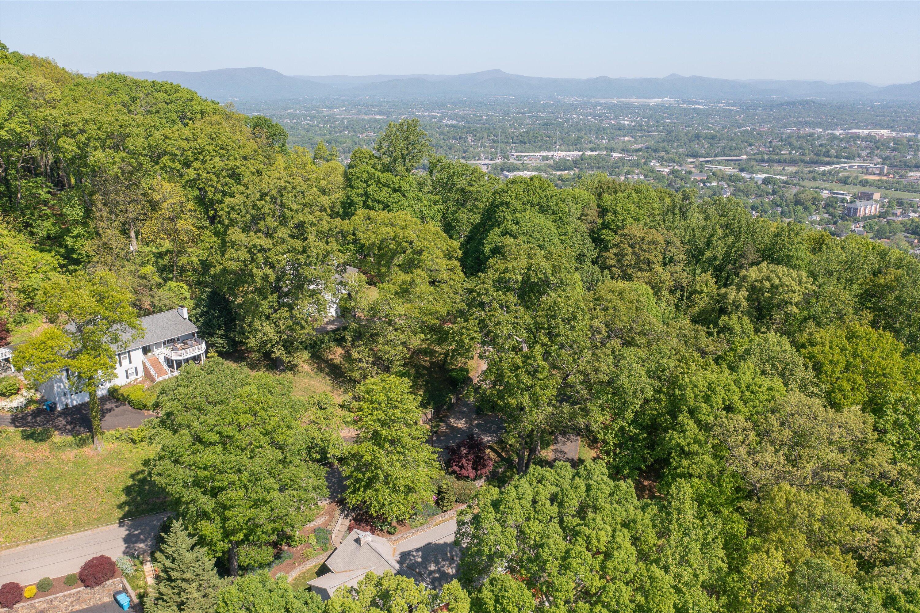 2921 Lockridge Road Southwest Roanoke, VA 24014 - Photo 47 of 53 a view of a city with lush green forest