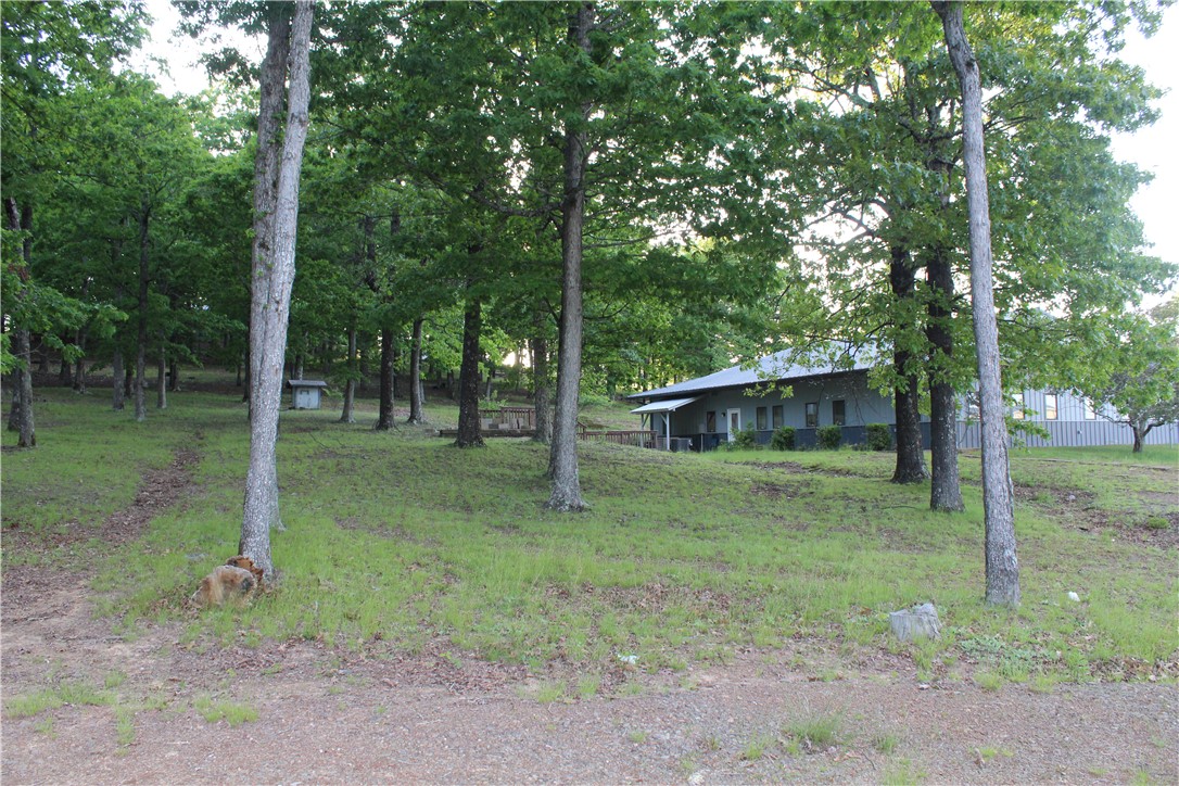 158 Ragon Road Tilly, AR 72679 - Photo 42 of 51 Ranch-style residence featuring a covered front porch, a metal roof, and horizontal siding
