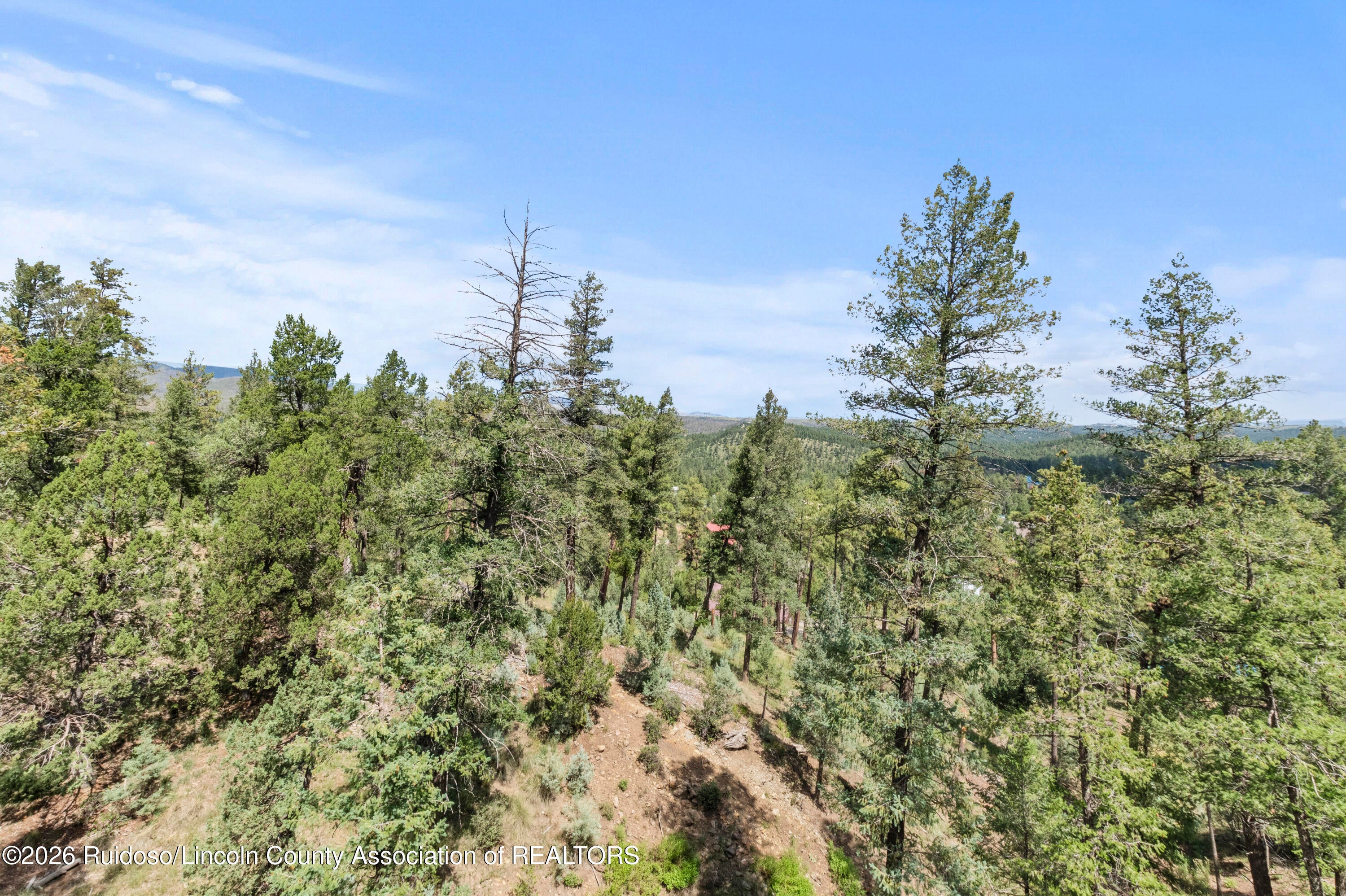 204 Mountain High Circle Ruidoso, NM 88345 - Photo 107 of 120 Gallery Image 107