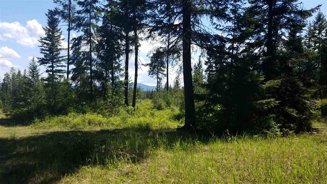 Xxx Seigel Hill Road Colville, WA 99114 - Photo 3 of 7