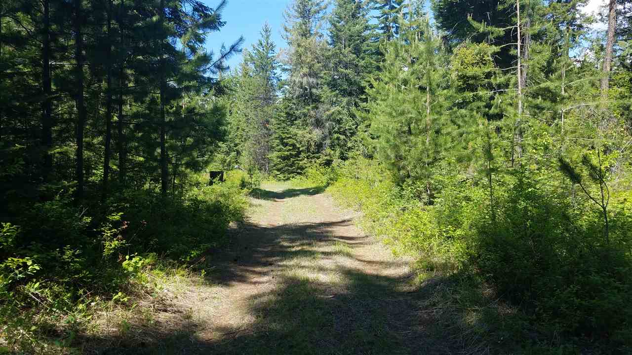 Xxx Seigel Hill Road Colville, WA 99114 - Photo 5 of 7