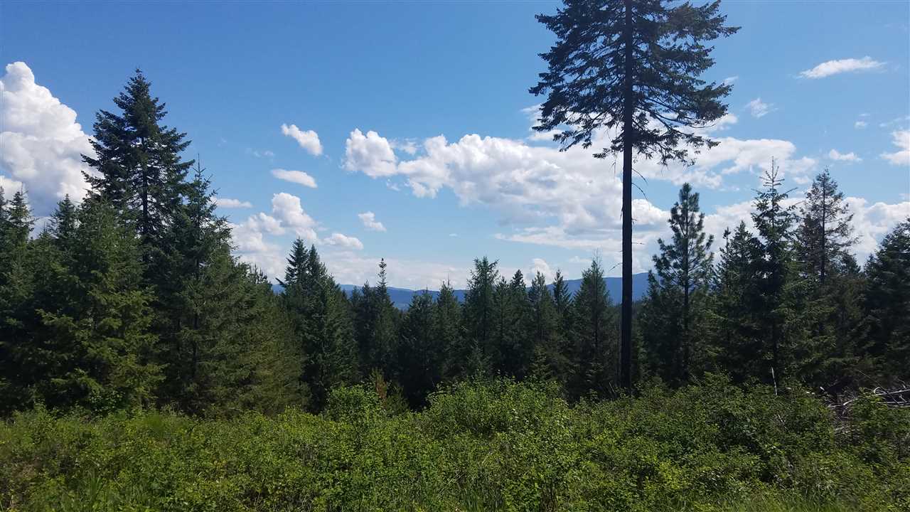 Xxx Seigel Hill Road Colville, WA 99114 - Photo 6 of 7