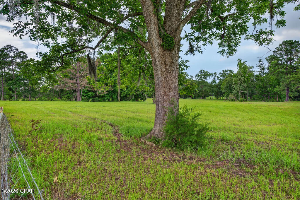 3256 Highway 77 Chipley, FL 32428 - Photo 51 of 51