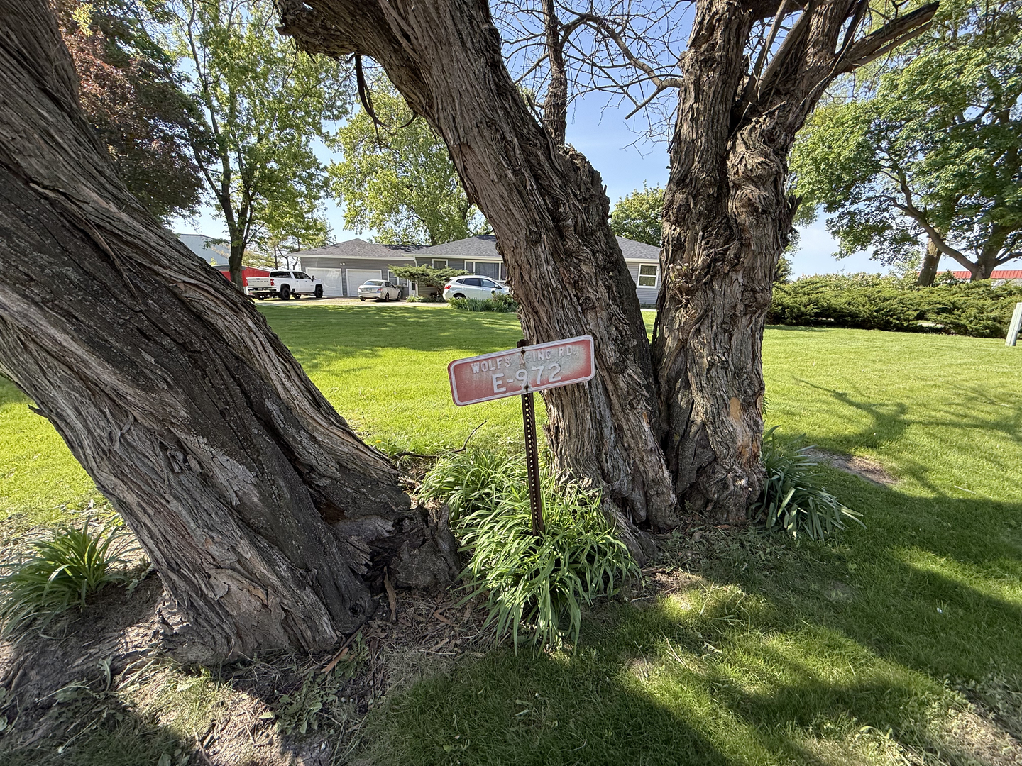 25501 West Wolfs Road Plainfield, IL 60585 - Photo 11 of 22 a view of a garden with a tree