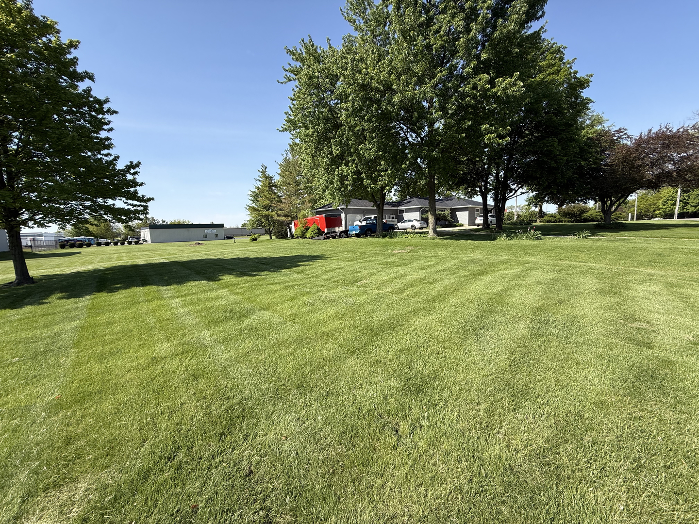 25501 West Wolfs Road Plainfield, IL 60585 - Photo 8 of 22 a front view of a house with a yard and trees