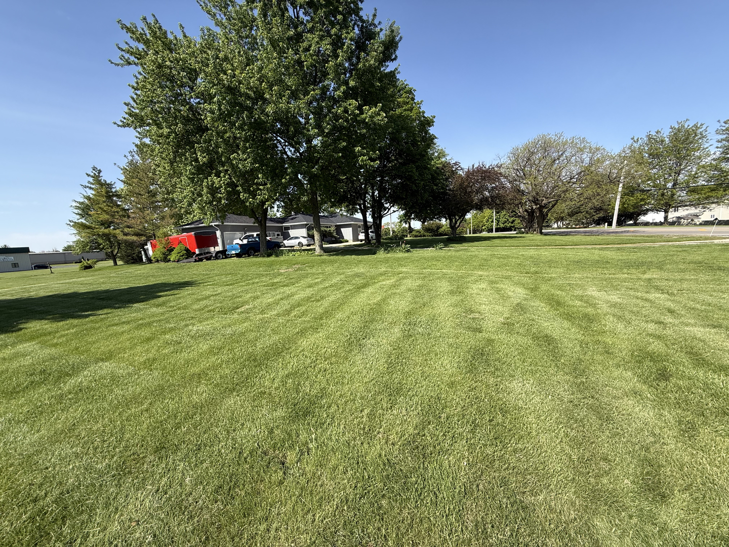 25501 West Wolfs Road Plainfield, IL 60585 - Photo 9 of 22 a view of a park with large trees