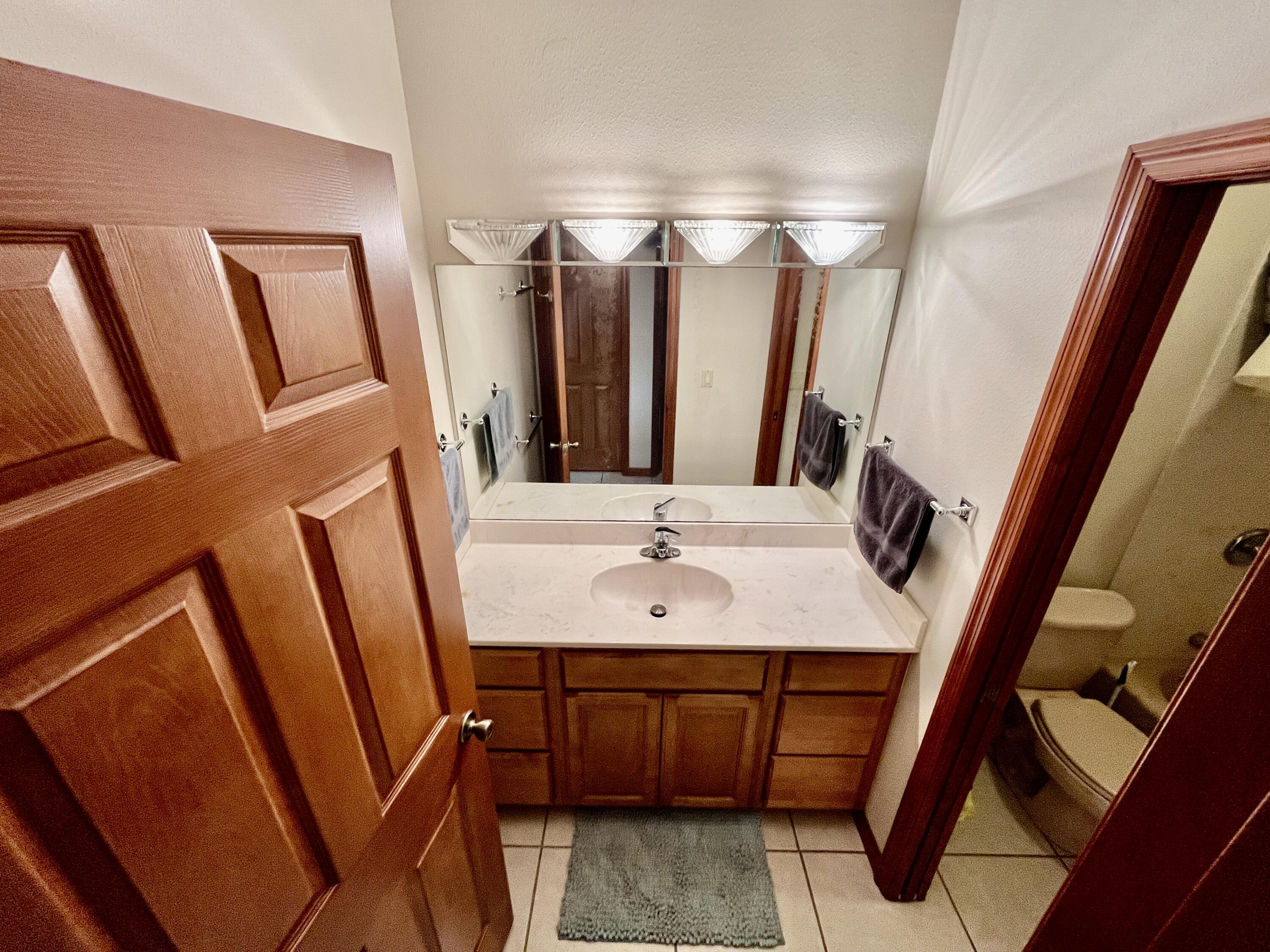 3046 North Bowden Road Avon Park, FL 33825 - Photo 18 of 41 a bathroom with a sink and a mirror