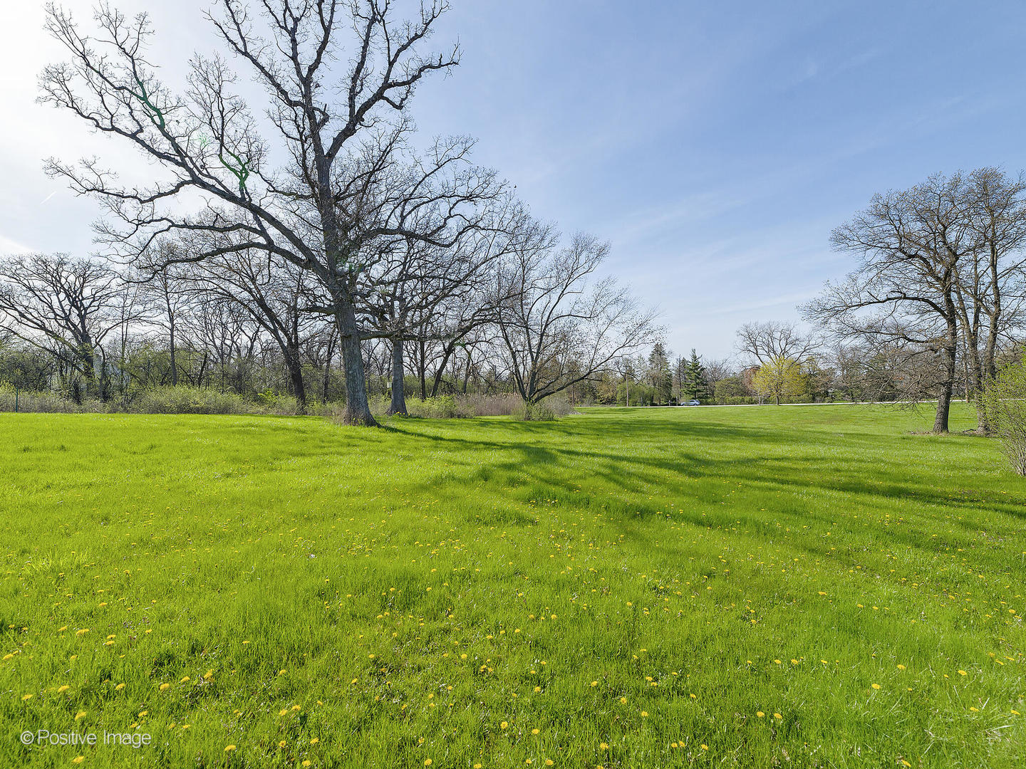 215 Oak Brook Road Oak Brook, IL 60523 - Photo 3 of 8