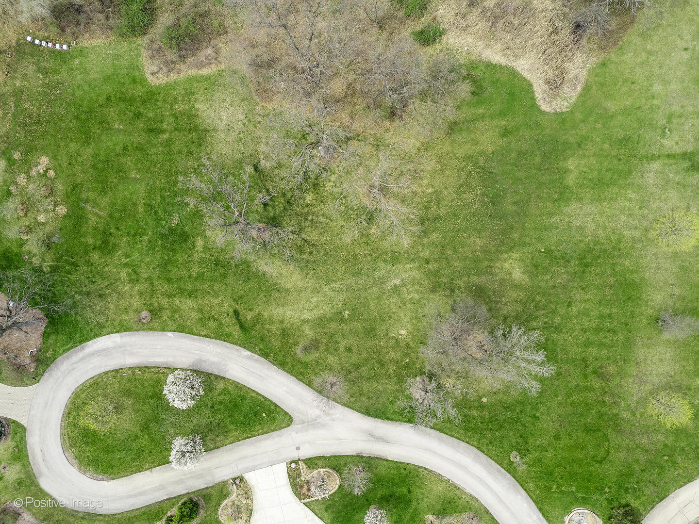 215 Oak Brook Road Oak Brook, IL 60523 - Photo 4 of 8