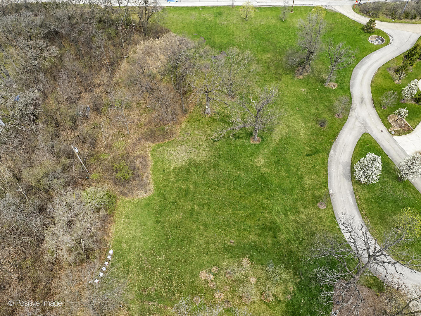 215 Oak Brook Road Oak Brook, IL 60523 - Photo 6 of 8
